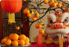 新年賀詞 | 筑夢未來，在這里展翅騰飛